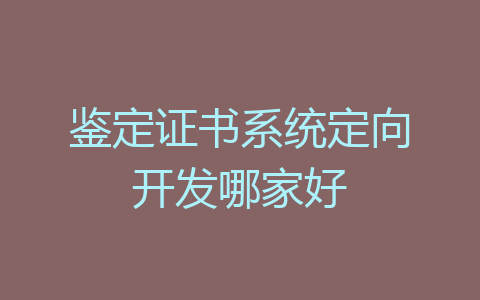 鉴定证书系统定向开发哪家好